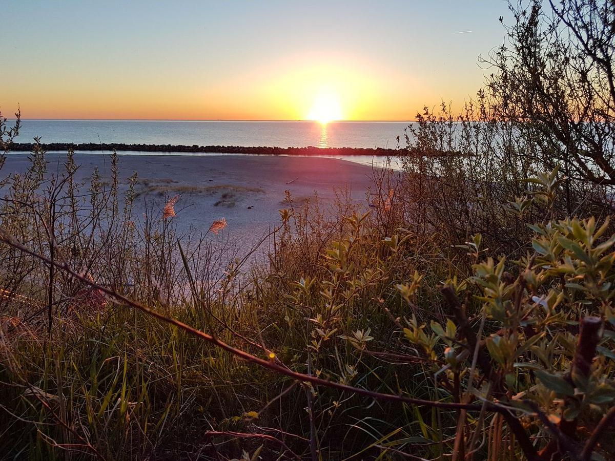Hotel Zum Strandlaufer Ahrenshoop Eksteriør billede
